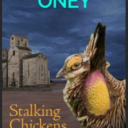 STALKING CHICKENS  a Parker Robinson mystery